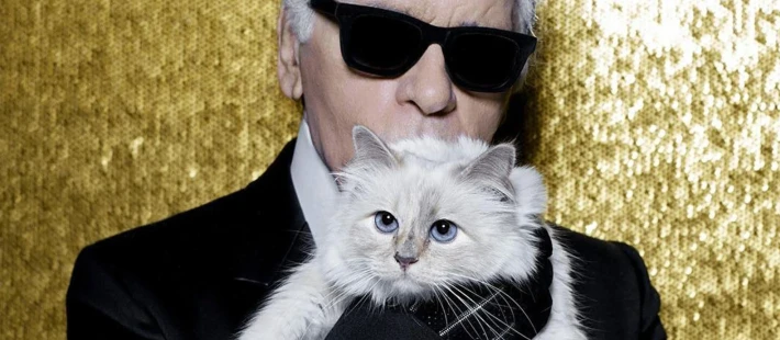 Τι συνέβη με τη διάσημη γάτα του Karl Lagerfeld που κληρονόμησε εκατομμύρια αλλά τελικά δεν έλαβε τίποτα;