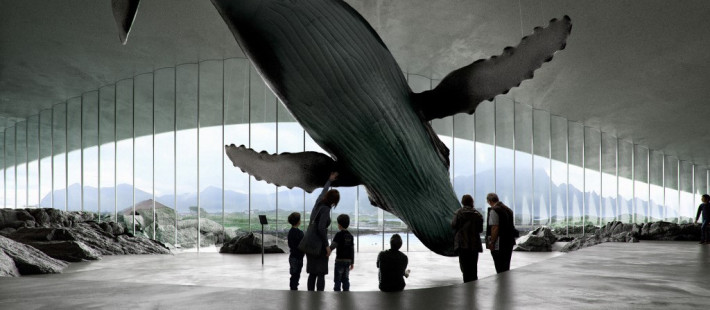 The Whale: Ένα νέο εντυπωσιακό μουσείο αφιερωμένο στις φάλαινες γίνεται «ένα» με το αρκτικό τοπίο