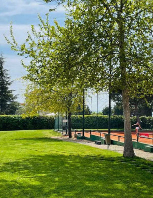 Έτσι θα δημιουργήσετε τον κήπο των ονείρων σας, αντιμετωπίζοντάς τον ως ζωντανό οργανισμό που ζει κι εξελίσσεται μαζί σας