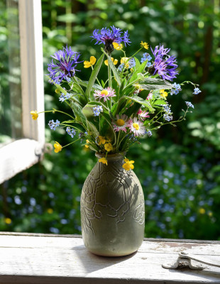 Τα 5+1 It Plants για το 2026: Οι τάσεις που θα μεταμορφώσουν τα μπαλκόνια και τις αυλές σας την άνοιξη