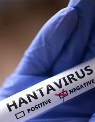 Τι είναι ο χανταϊός και πόσο πραγματικά κινδυνεύουμε;