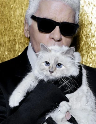 Τι συνέβη με τη διάσημη γάτα του Karl Lagerfeld που κληρονόμησε εκατομμύρια αλλά τελικά δεν έλαβε τίποτα;