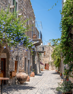 THE CHIOS FESTIVAL 2026: Το πολιτιστικό γεγονός του καλοκαιριού με διεθνείς προσωπικότητες, μεγάλες συναυλίες και μοναδικές εκδηλώσεις