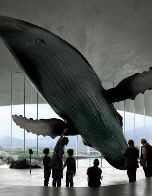 The Whale: Ένα νέο εντυπωσιακό μουσείο αφιερωμένο στις φάλαινες γίνεται «ένα» με το αρκτικό τοπίο