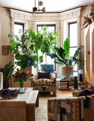 Houseplants: Ποια είναι τα lucky και unlucky φυτά για το σπίτι μας;