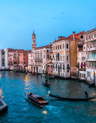 Venice Film Festival 2026: Οι ταινίες που αποκαλύπτουν τι απασχολεί το σινεμά του σήμερα