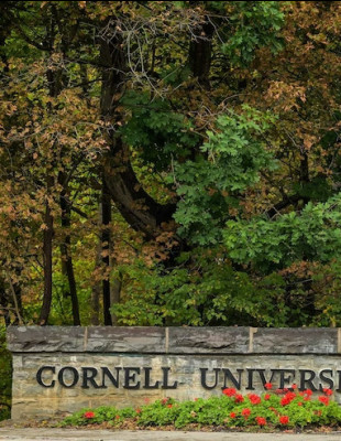 Cornell7: Έχουμε καταλάβει ότι μιλάμε για τον ομαδικό βιασμό μίας 20χρονης σε Πανεπιστήμιο των ΗΠΑ που έμεινε ατιμώρητος;