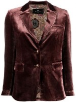 Velvet Blazer
