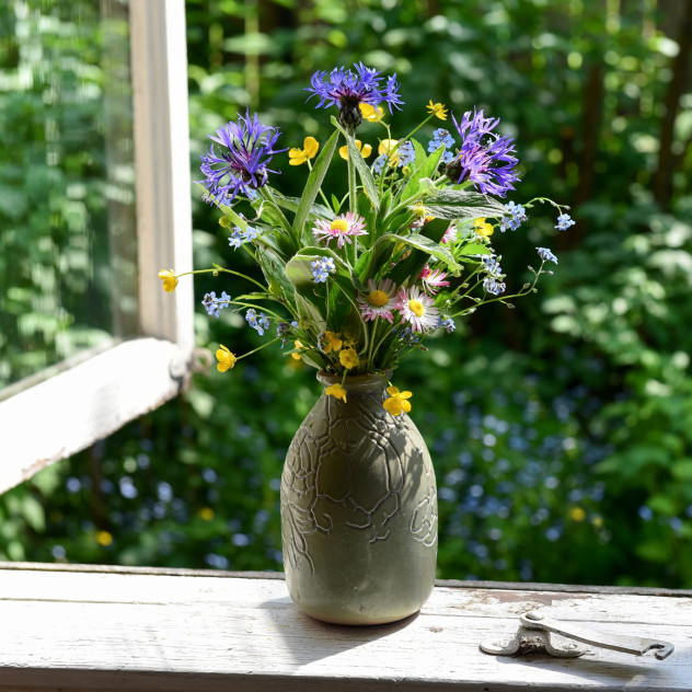 Τα 5+1 It Plants για το 2026: Οι τάσεις που θα μεταμορφώσουν τα μπαλκόνια και τις αυλές σας την άνοιξη