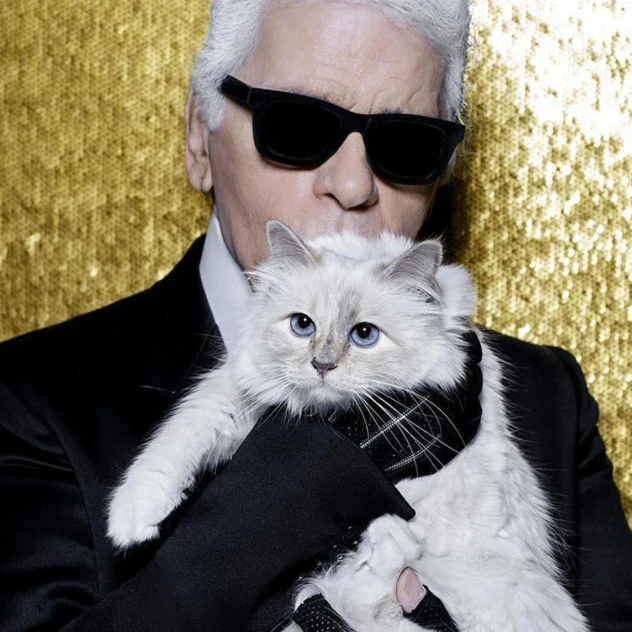 Τι συνέβη με τη διάσημη γάτα του Karl Lagerfeld που κληρονόμησε εκατομμύρια αλλά τελικά δεν έλαβε τίποτα;