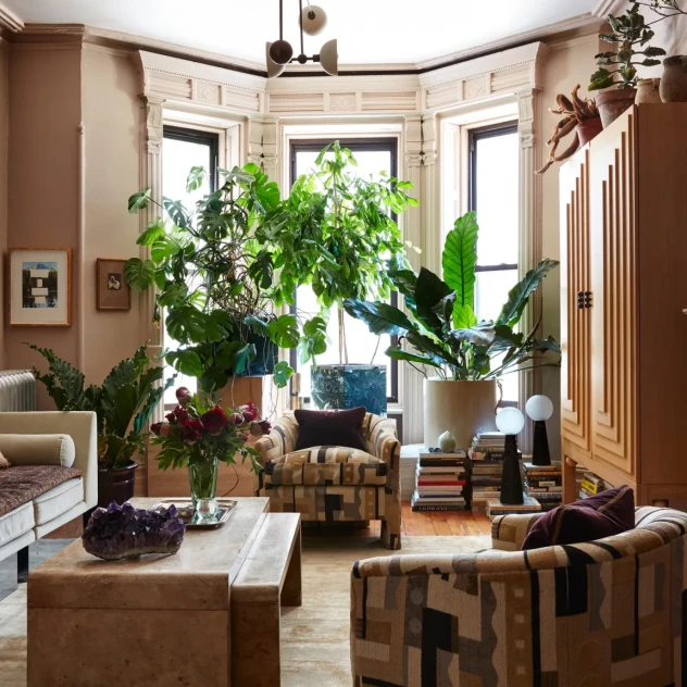 Houseplants: Ποια είναι τα lucky και unlucky φυτά για το σπίτι μας;