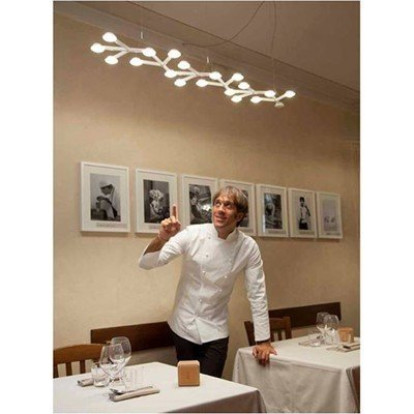 Led Net