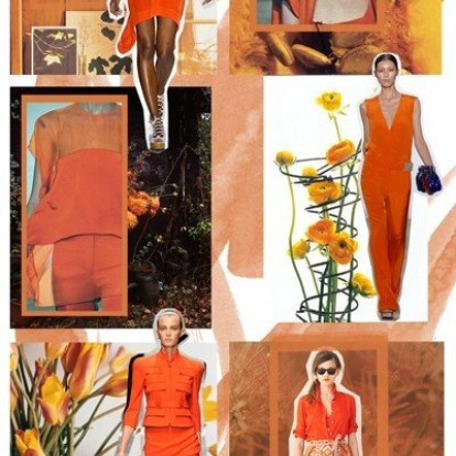 Orange Dream