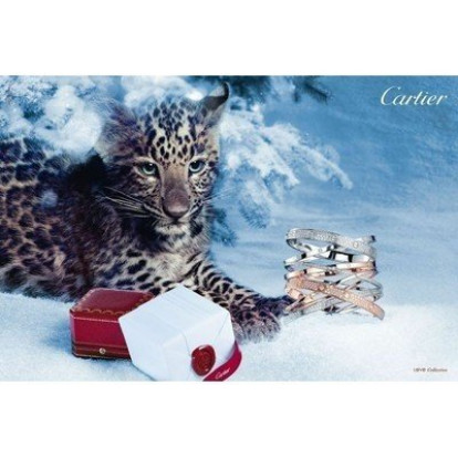 Winter Tale