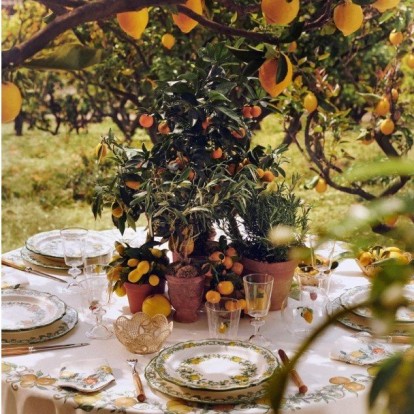 Sole Di Sicilia: Απολαύστε τη νέα tableware συλλογή του Dior Maison 