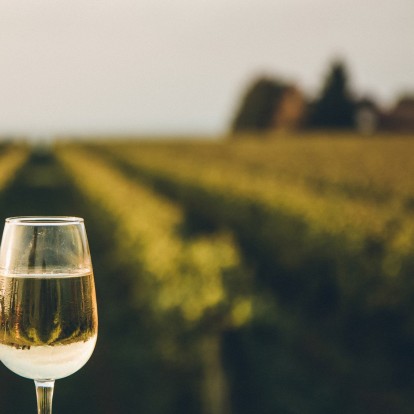 10 παγκοσμίου φήμης αμπελώνες και "wineland" ξενοδοχεία για να απολαύσετε με style