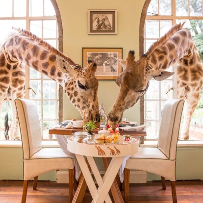 Τα νέα Safari openings που πρέπει να γνωρίζετε για μια πολυτελή εμπειρία