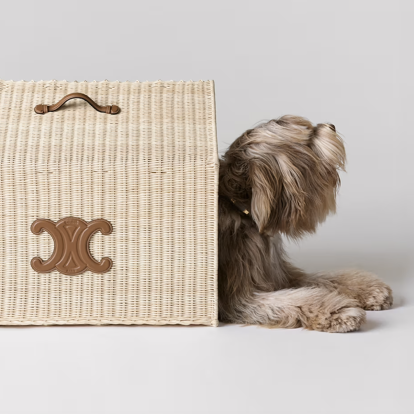 Η Celine παρουσιάζει την πιο πολυτελή συλλογή με αξεσουάρ για σκύλους