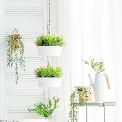 Τα 7 καλύτερα λουλούδια και φυτά που είναι ανθεκτικά στο κρύο