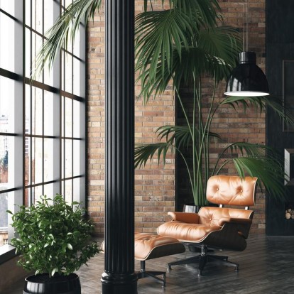 Easy to grow plants: 6 φυτά που είναι ιδανικά για αρχάριους