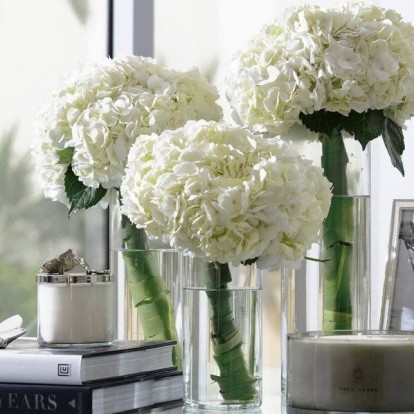 For the flower lovers: Αυτά είναι τα 10 ομορφότερα λουλούδια στον κόσμο