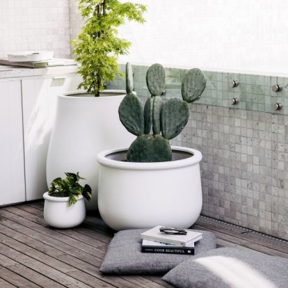 Τα 5 φυτά που προσελκύουν την αρνητική ενέργεια και δεν πρέπει να τοποθετείτε στο σπίτι σας