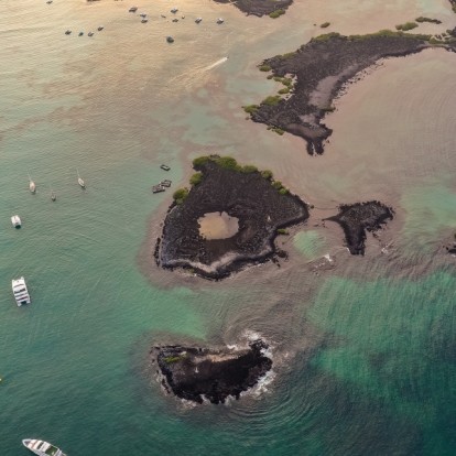 Planet Alert: Το ρεκόρ υψηλών θερμοκρασιών και η σημαντική αλλαγή στα νερά της Μεσογείου