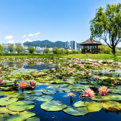 Big SOS: Η Γη υπερθερμαίνεται πιο γρήγορα από ποτέ κι εμείς έχουμε τη μεγαλύτερη ευθύνη