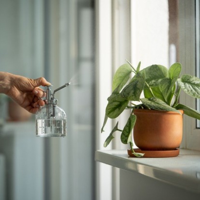 Πώς να καλλιεργήσετε μόνοι σας τα δικά σας φυτά κατά τη διάρκεια του καλοκαιριού