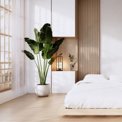 Υπάρχουν ιδανικά φυτά για την κρεβατοκάμαρα; Βρήκαμε αυτά που πρέπει να εντάξετε στον χώρο σας