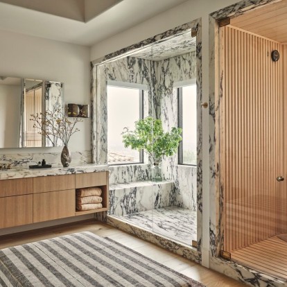 Τα πιο όμορφα φυτά εσωτερικού χώρου που θα απομακρύνουν την υγρασία από το μπάνιο σας