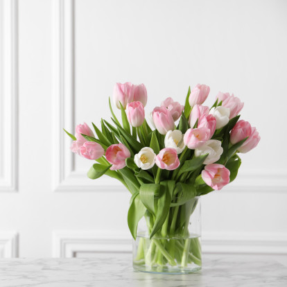 Τουλίπες: Ποιο χρώμα να επιλέξετε ανάλογα με τον χώρο και τον χαρακτήρα σας