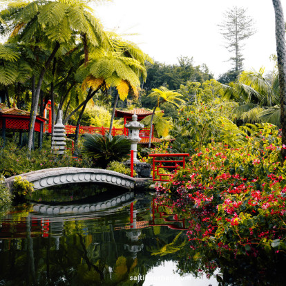 Οι κήποι που πρέπει να δούμε έστω μία φορά στη ζωή μας 