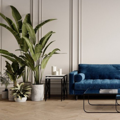 Tropical Vibes: Τα πιο ιδιαίτερα φυτά που θα χαρίσουν jungle αισθητική στον χώρο σας