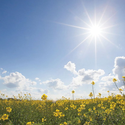 Εξειδικευμένες απαντήσεις για τη γονιμότητα: Υπάρχει εποχή καλύτερη για εξωσωματική;
