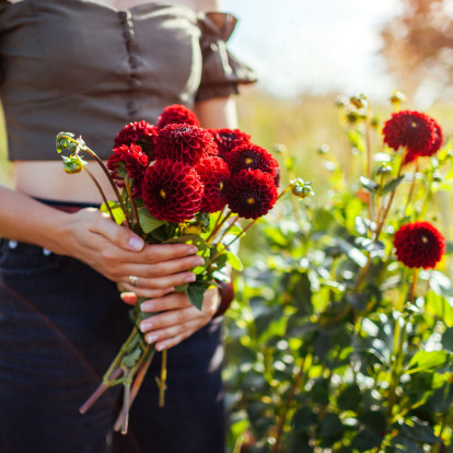 Το λουλούδι που ταιριάζει σε κάθε περίσταση ανάλογα με τα χαρακτηριστικά του