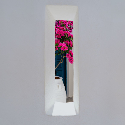 Μπουκαμβίλια: Τα expert secrets που πρέπει να γνωρίζετε πριν την επιλέξετε ώστε να παραμείνει ανθισμένη 