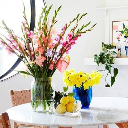 Μαραίνονται συνεχώς τα φυτά σας; Έξυπνες συμβουλές για να τους δώσετε νέα ζωή