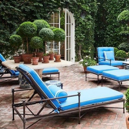 8 φυτά και δέντρα που αναπτύσσονται γρήγορα και είναι η ιδανική επιλογή για το σπίτι και τον κήπο σας