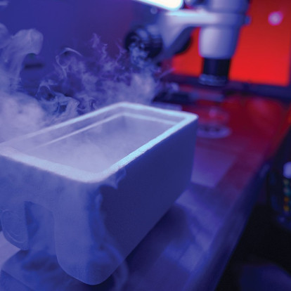 Εξειδικευμένες απαντήσεις για τη γονιμότητα - Η σημασία της απόψυξης των ωαρίων για την επιτυχία της εξωσωματικής