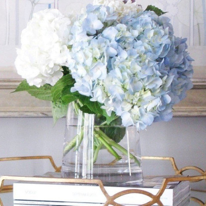 Τα ωραιότερα λουλούδια και φυτά για τους χώρους του σπιτιού σας, ιδανικά για τους μήνες που ακολουθούν