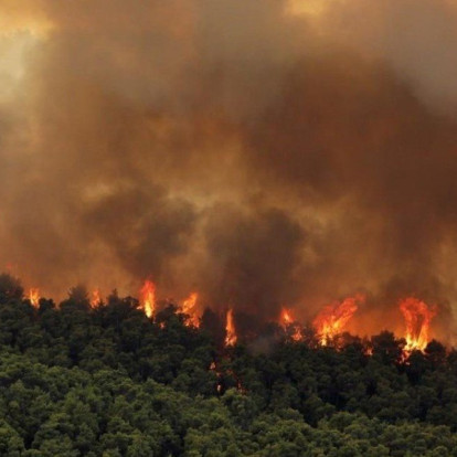 Η Ελλάδα εκπέμπει SOS: Πώς μπορείτε να βοηθήσετε τους πληγέντες των πυρκαγιών