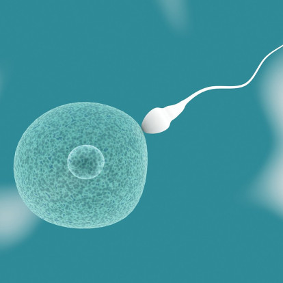 Απαντήσεις σε 10 βασικά ερωτήματα που αφορούν στον ρόλο του άντρα για την επίτευξη μιας υγιούς εγκυμοσύνης