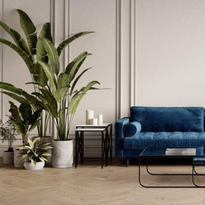 Έτσι θα «δώσουμε ζωή» στα φυτά μας ξανά μετά από μια περίοδο παραμέλησης