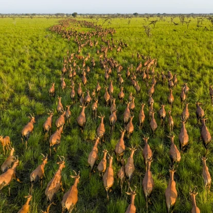 Pictures of the Year 2025: Το National Geographic διάλεξε τις καλύτερες φωτογραφίες της χρονιάς που μας πέρασε