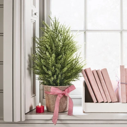 Τα ιδανικά φυτά για να προσφέρετε ως δώρο στα χριστουγεννιάτικα gatherings