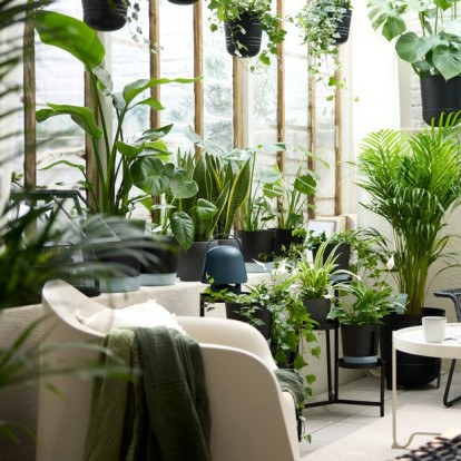 Ποιοι είναι οι ιδανικοί βολβοί για να φυτέψουμε τον Μάρτιο ώστε να αποκτήσουμε έναν εντυπωσιακό καλοκαιρινό κήπο