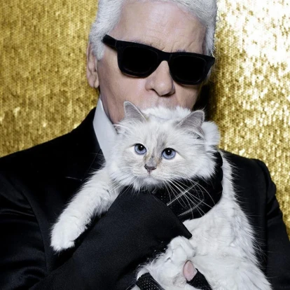 Τι συνέβη με τη διάσημη γάτα του Karl Lagerfeld που κληρονόμησε εκατομμύρια αλλά τελικά δεν έλαβε τίποτα;