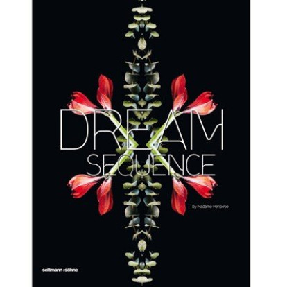 Dream Sequence