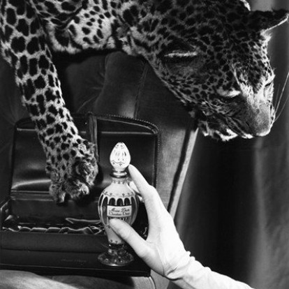 Miss Dior